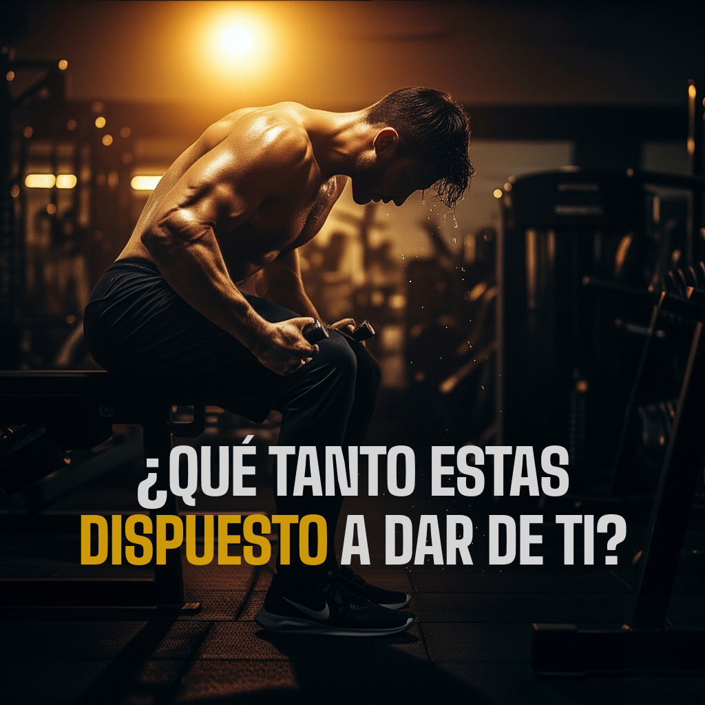 Gimnasio Olimpo - Transforma tu cuerpo